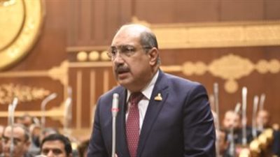 النائب إيهاب وهبة: وزارة الطيران محملة بإرث ثقيل من العمالة الكثيفة