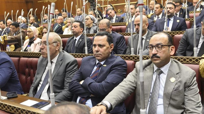 النائب عبد العاطي
