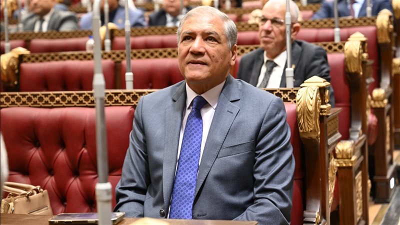 النائب عفت السادات
