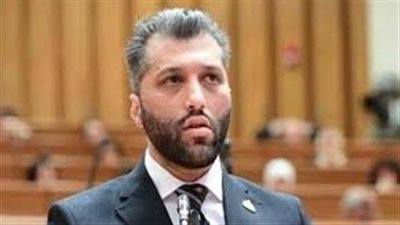برلماني: مقترحات الرؤية الحالية ليست كافية لبناء علاقة طبيعية بين الأب وأبنائه