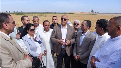 محافظ الإسكندرية: تأمين القمح أولوية استراتيجية لدعم منظومة الأمن الغذائي