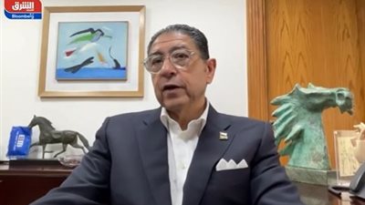 هشام عز العرب يحذر من «الشادو بنك»: الخطر الحقيقي على الاقتصاد المصري