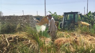 محافظ أسوان: التنسيق مع اللجنة الوزارية وإزالة وإسترداد ١٢ قطعة  
