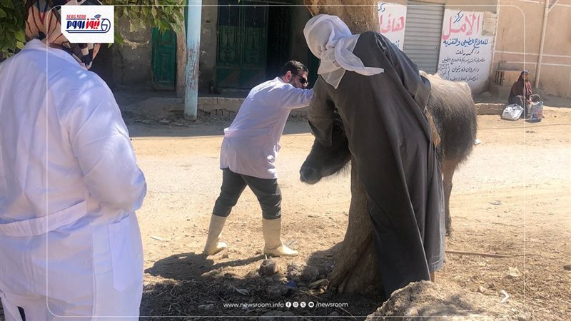 تطعيم مواشي 