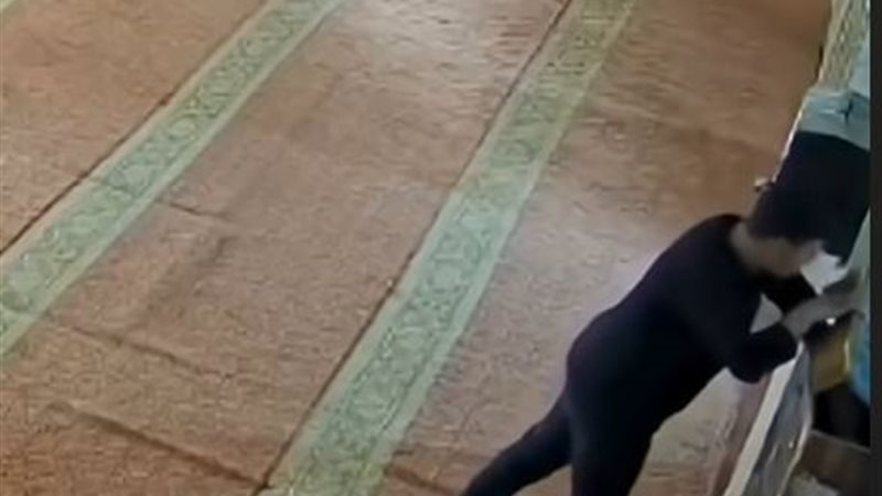 شاب