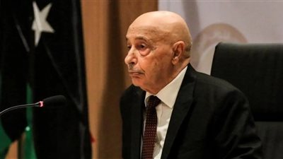 حضور عقيلة صالح رئيس البرلمان الليبي الجلسة مجلس النواب المصري الاثنين المقبل