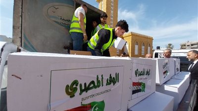 محافظ شمال سيناء يثمن  مبادرة 