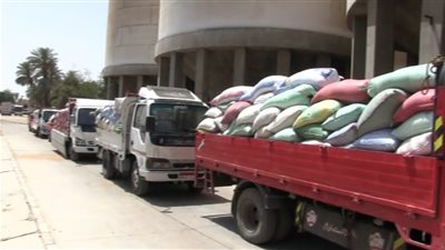 الغربية تواصل حصاد “الذهب الأصفر”.. توريد أكثر من 114 ألف طن قمح داخل الصوامع 