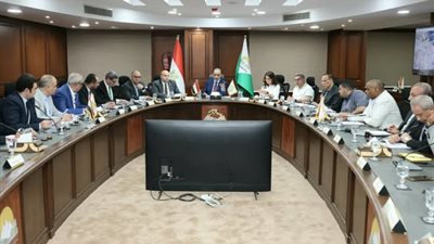 الأنصاري يوجه بسرعة البت في طلبات تقنين أوضاع المستثمرين بعرب أبو ساعد وجرزا