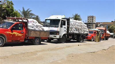 محافظ أسيوط : توريد 133 ألف و595 طن قمح محلي إلى الصوامع والشون  