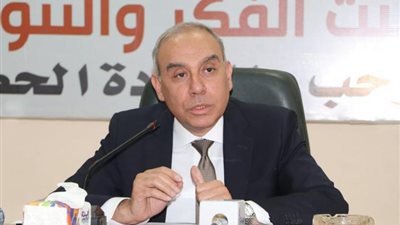السفير علاء يوسف: بناء الإنسان جوهر «حياة كريمة» والمرأة شريك أساسي في التنمية