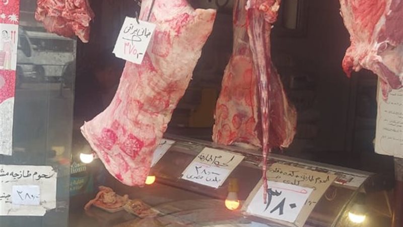 جانب من الاستعدادات