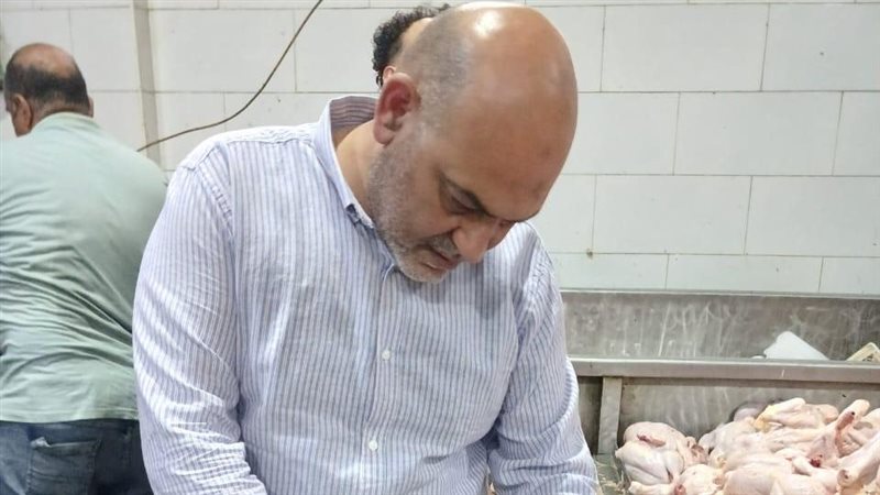 ضبط دواجن غير صالحة