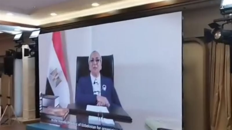 المستشارة أمل عمار