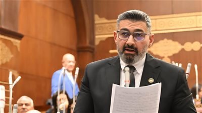 الأحد المقبل..محمود حميدة وإلهام شاهين وأحمد عز أمام لجنة الإعلام بمجلس الشيوخ