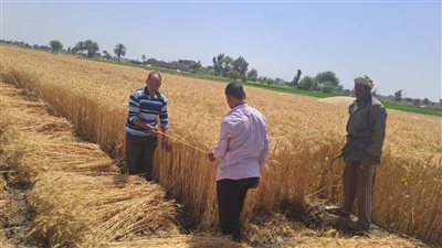 زراعة الشرقية تواصل تكثيف أنشطتها لدعم المزارعين وحماية البيئة