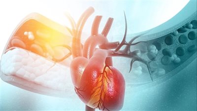    كيف يؤثر الطقس الحار على القلب؟ إليك المخاطر وطرق الوقاية