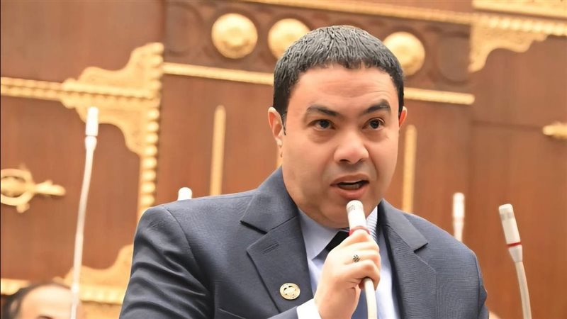  النائب إسماعيل الشرقاوي