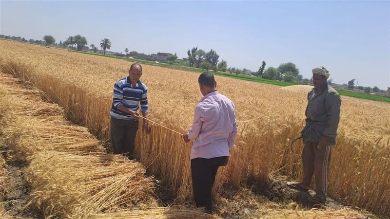 دعم المزارعين في