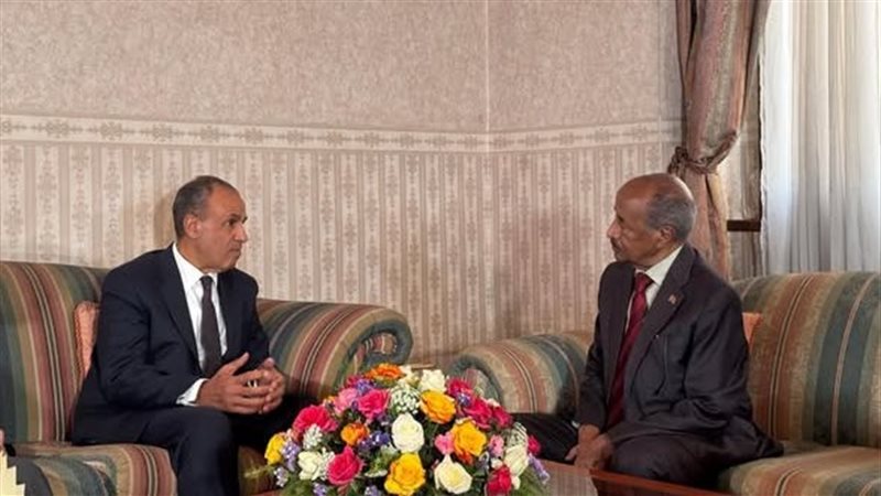 وزير الخارجية ونظيره