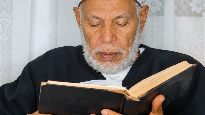 الشيخ عامر السيد