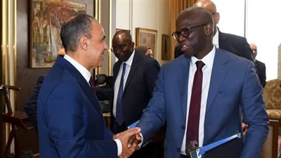 وزير الخارجية يبحث مع البنك الدولي تعزيز الشراكة ودعم الاقتصاد المصري