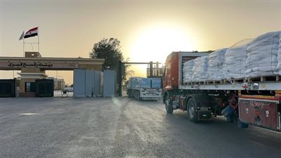 بحمولة أكثر من 3 آلاف طن.. الهلال الأحمر يطلق قافلة «زاد العزة» 197