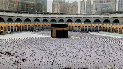 أزهري: “ليشهدوا منافع” تفتح أبواب الخير للحاج وغير الحاج