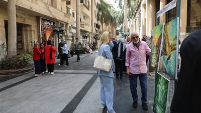 محافظ القاهرة: فعاليات 