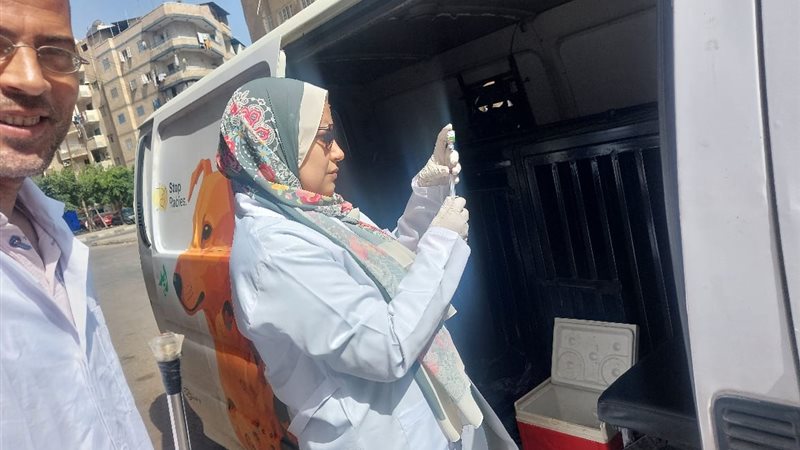 تحصين الكلاب الضالة