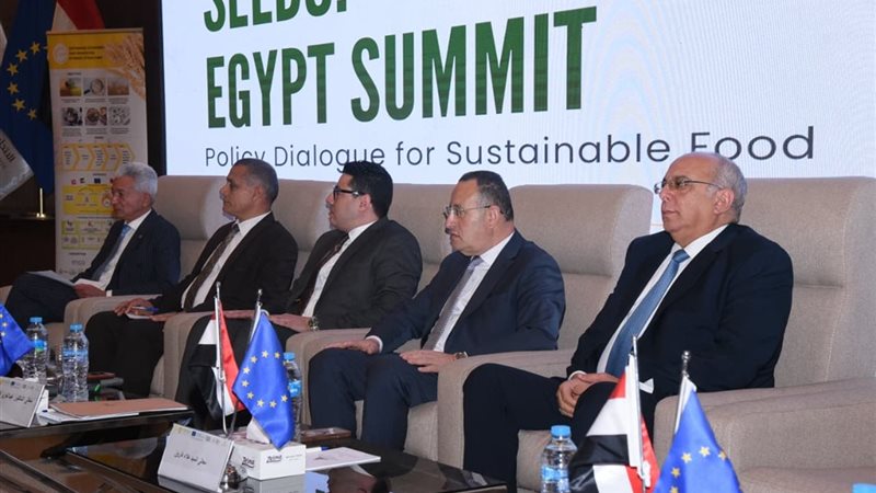 جانب من الفاعليات