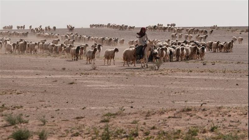 مكان القاعدة الإسرائيلية