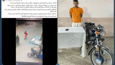 نهاية رحلة الهروب.. ضبط مسجل خطر سرق هاتف طالبة بالأهرام