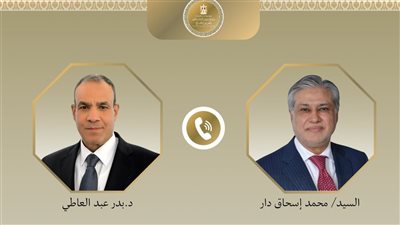 مصر وباكستان تبحثان خفض التصعيد في المنطقة واستئناف التفاوض بين أمريكا وإيران