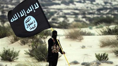بعد مقتل أبو بلال المنكي في نيجيريا.. من سيخلف الرجل الثاني في داعش؟