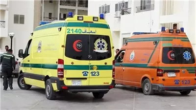 التحقيق مع مشرفة تمريض ألقت بنفسها وطفليها في النيل من أعلى كوبري دندرة بقنا