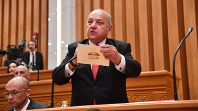 وكيل النواب: مصر تدعم العمل على تحقيق  آفاق التنمية والازدهار داخل ليبيا