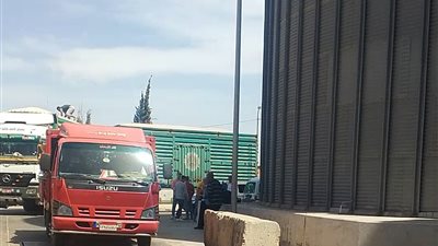 تموين الإسكندرية: 47 ألف طن قمح محلي إجمالي التوريد حتى الآن