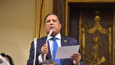 خلال الجلسة العامة.. أبوهميلة: مصر ستظل داعمة لوحدة ليبيا واستقرارها