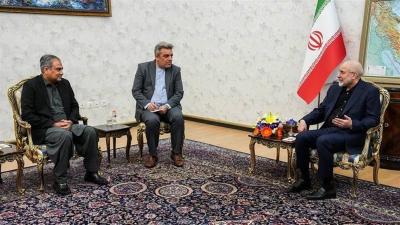 رئيس البرلمان الإيراني