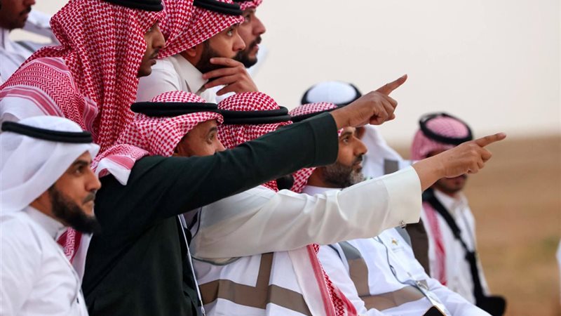 أرشيفية 