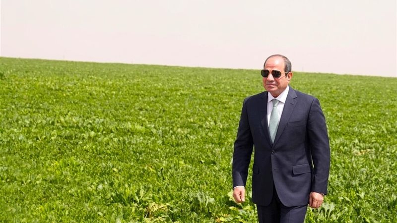 السيسي 