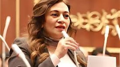  الشيوخ يوافق على مقترحي نفين فارس لدعم المعلمين وتطوير التعليم الفني