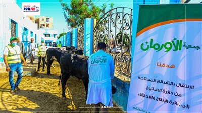 توزيع 75 ألف كيلو لحوم ونحر 50 عجلًا بلدياً داخل المجازر المعتمدة بالمنيا