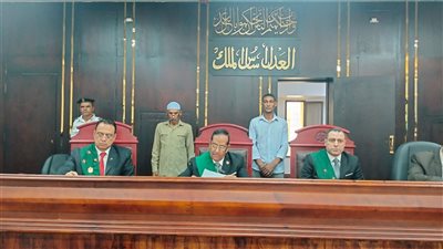 تأييد حكم إعدام مسن بالأقصر بعد إدانته بالاعتداء على طفلة والتسبب في حملها