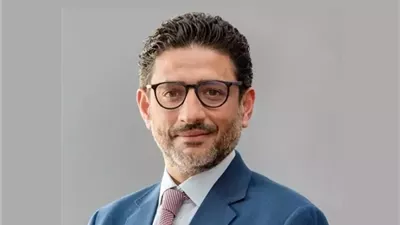 مؤسسة التمويل الدولية تخطط لتمويل عدد من المحطات بالموانئ المصرية