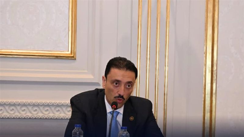 النائب محمد رزق 