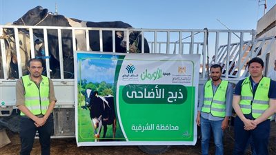 استعدادا لـ 