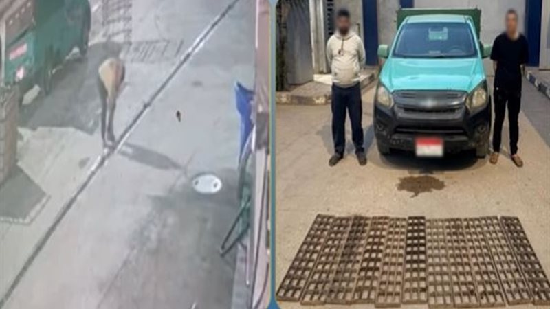 المتهمين 
