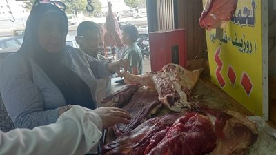 قبل عيد الأضحى.. تموين الإسكندرية يضبط لحوم فاسدة وأختام مزورة ببعض المجازر